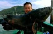 小伙潜水赶海，捕获一条二十多斤的石斑鱼，真的发财了！(8.3分生活片)