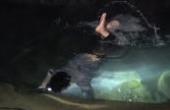 小莫今天运气爆棚，温泉里意外发现龙虾，潜水抓了一只又一只(8.3分生活片)