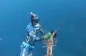 大哥这一趟潜水满载而归，这只龙虾怎么也有个几斤重，惊喜来的太突然！(8.3分娱乐片)