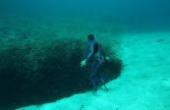 国外男子海底潜水，突然发现巨大深坑，走近一看吓到了！(8.3分生活片)