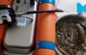 WOLACH我来创潜水呼吸器一小时5斤多海参 (1)(8.3分生活片)