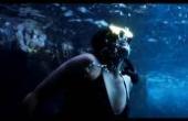 特兰斯科·语录| 002 琪米·维尔纳：深海潜水打鱼是谋生亦是救赎(8.3分体育片)
