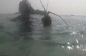 赶海大叔穿上装备潜水抓大货，各种大海螺锦绣龙虾抓的太过瘾了(8.3分生活片)