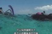 PADI开放水域潜水员视频OW1(8.3分生活片)
