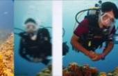 OW潜水视频教学第一单元PADI潜水教学视频(8.3分体育片)