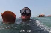 海南渔民大叔出海潜水，海底竟藏着“金元宝”，不远处还有更大的海货(8.3分生活片)