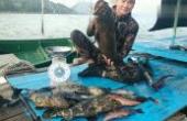 渔民小伙赶海潜水捕鱼，闯进石斑鱼窝，捕获几条大石斑鱼太过瘾了(8.3分生活片)