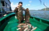 渔民小哥赶海潜水捕鱼，在水下七米深，捕获大龙趸石斑鱼，太欣喜了(8.3分生活片)
