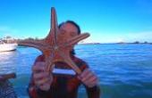 渔民小伙潜水赶海，领略“海底森林”珊瑚礁，还捡了只脸盆大的海星(8.3分生活片)